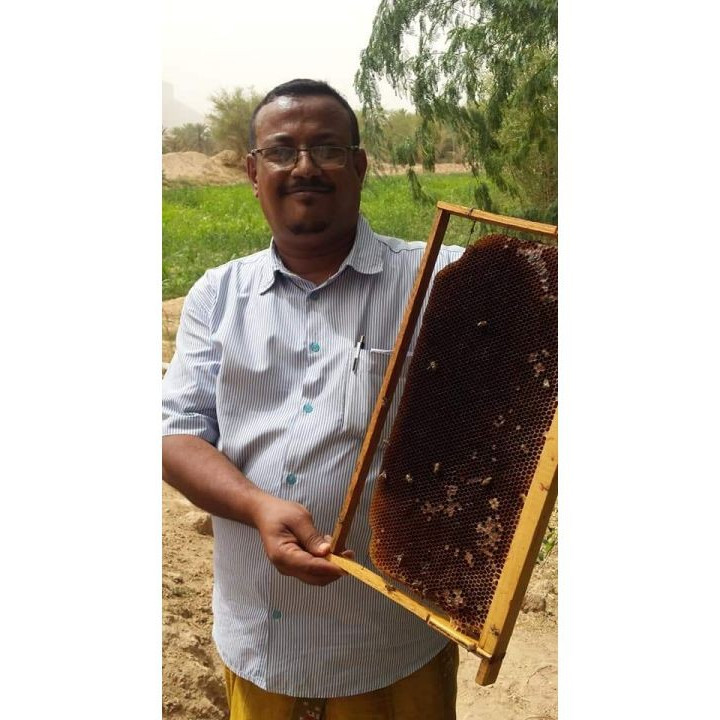 Miel de Sidr du Yemen Royal Maliki ( miel de jujubier )  270 gr