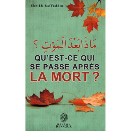 Qu'est ce qui se passe après la mort? SHEIKH RAFI'UDDIN
