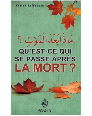Qu'est ce qui se passe après la mort? SHEIKH RAFI'UDDIN