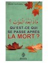 Qu'est ce qui se passe après la mort? SHEIKH RAFI'UDDIN