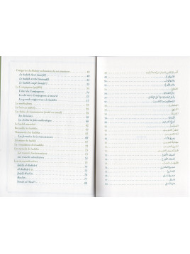 La terminologie du hadith