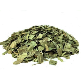 Feuilles de sidr - feuilles de jujubier spéciales roqya sorcellerie