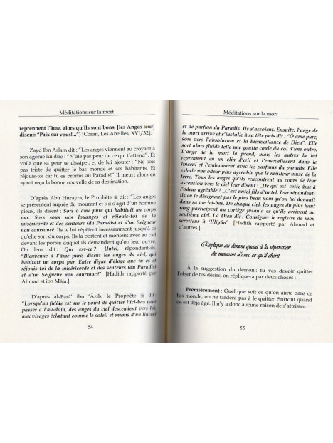 MEDITATIONS SUR LA MORT