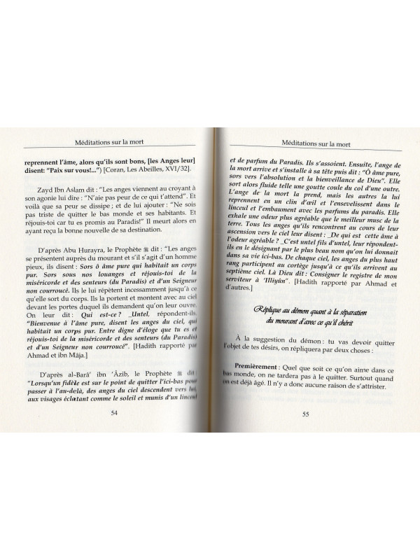 MEDITATIONS SUR LA MORT