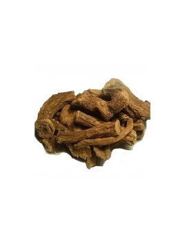 Costus indien en morceau 50g