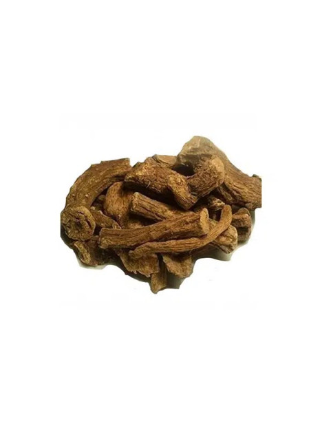 Costus indien en morceau 50g
