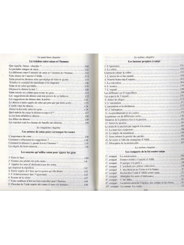 Comment se proteger des djinns et de satan?