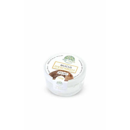 Mucus d’escargot (bave d’escargot) | Bienfaits nombreux pour la peau