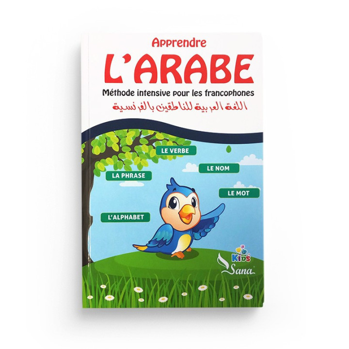 Apprendre l’arabe | Méthode intensive | Sana