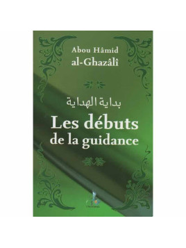Les débuts de la guidance -...