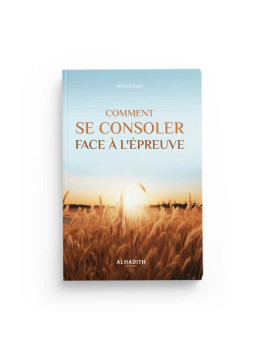 Comment se consoler face à...