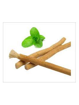 Siwak gout menthe