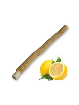 Siwak gout citron