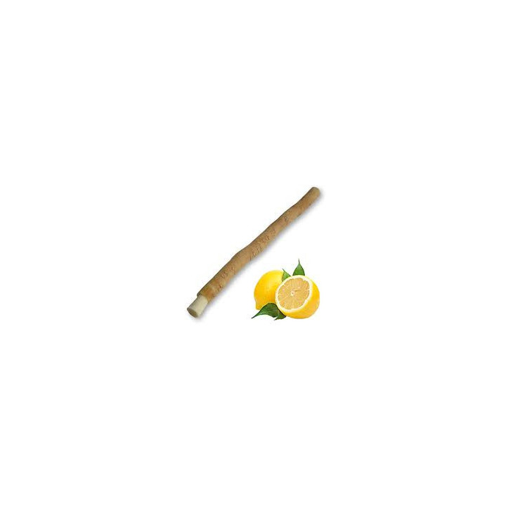 Siwak gout citron