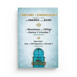 L'histoire de la jurisprudence expliqué par les savants des origines à nos jours - Editions Le Droit Chemin