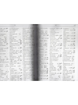 dictionnaire abdel-nour arabe français 2 tomes