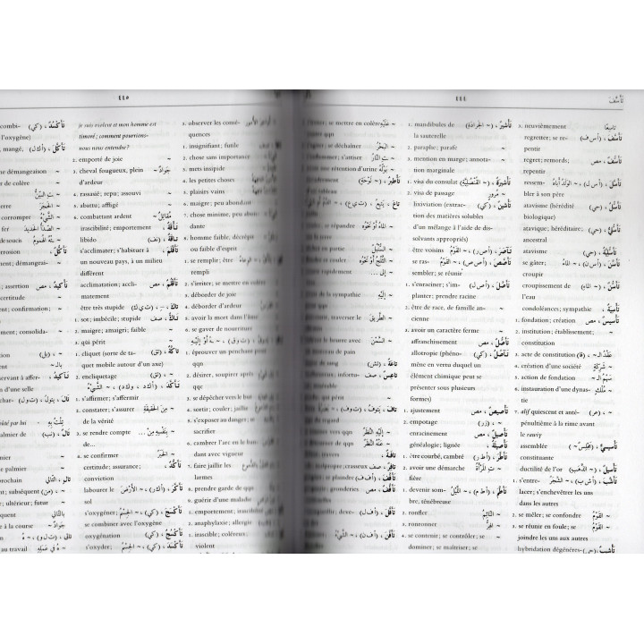 dictionnaire abdel-nour arabe français 2 tomes