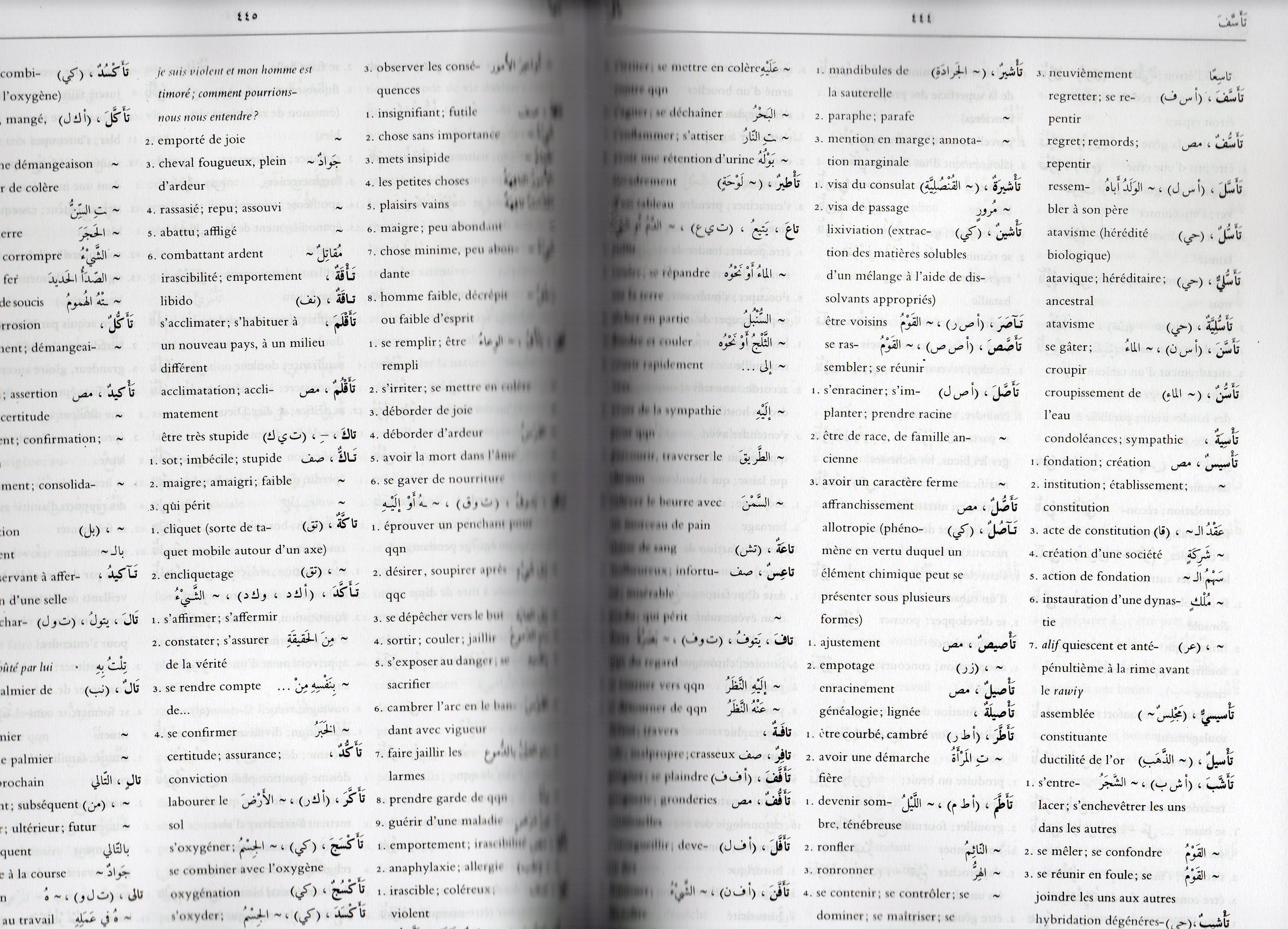 dictionnaire abdel-nour arabe français 2 tomes