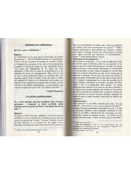 FATAWAS DE LA FAMILLE MUSULMANE 1ER PARTIE DOGME