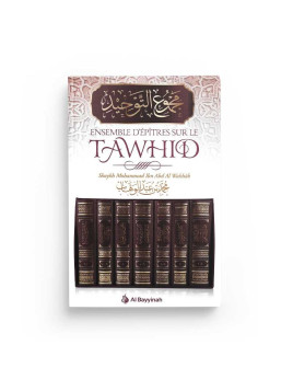 Ensemble d'épitres sur le...