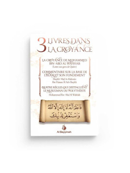 3 Livres dans la croyance -...