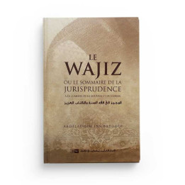 Le Wajiz livre de jurisprudence - Edition IIPH - Librairie Le Savoir