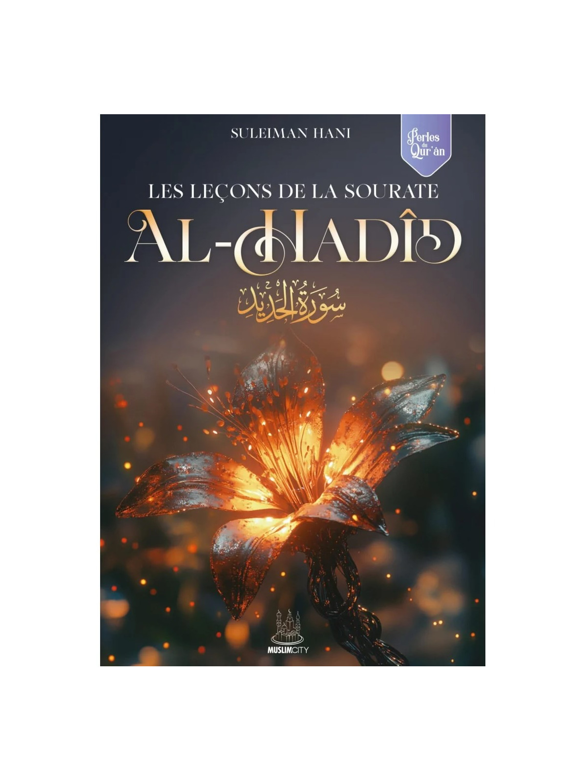 Les leçons de la sourate Al Hadid - Suleiman Hani - MuslimCity