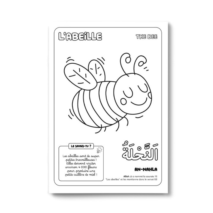 Colorie et apprends : Les 30 animaux cités dans le Coran - Editions DeeniLearn