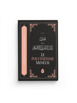 Le polythéisme mineur -...