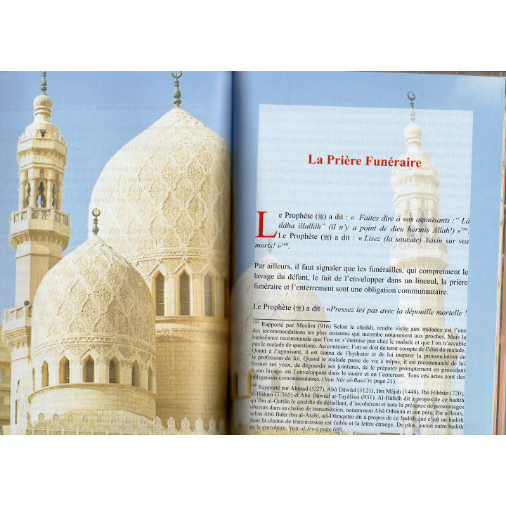 Bréviaire [de jurisprudence] à l'usage des étudiants [en sciences religieuses]