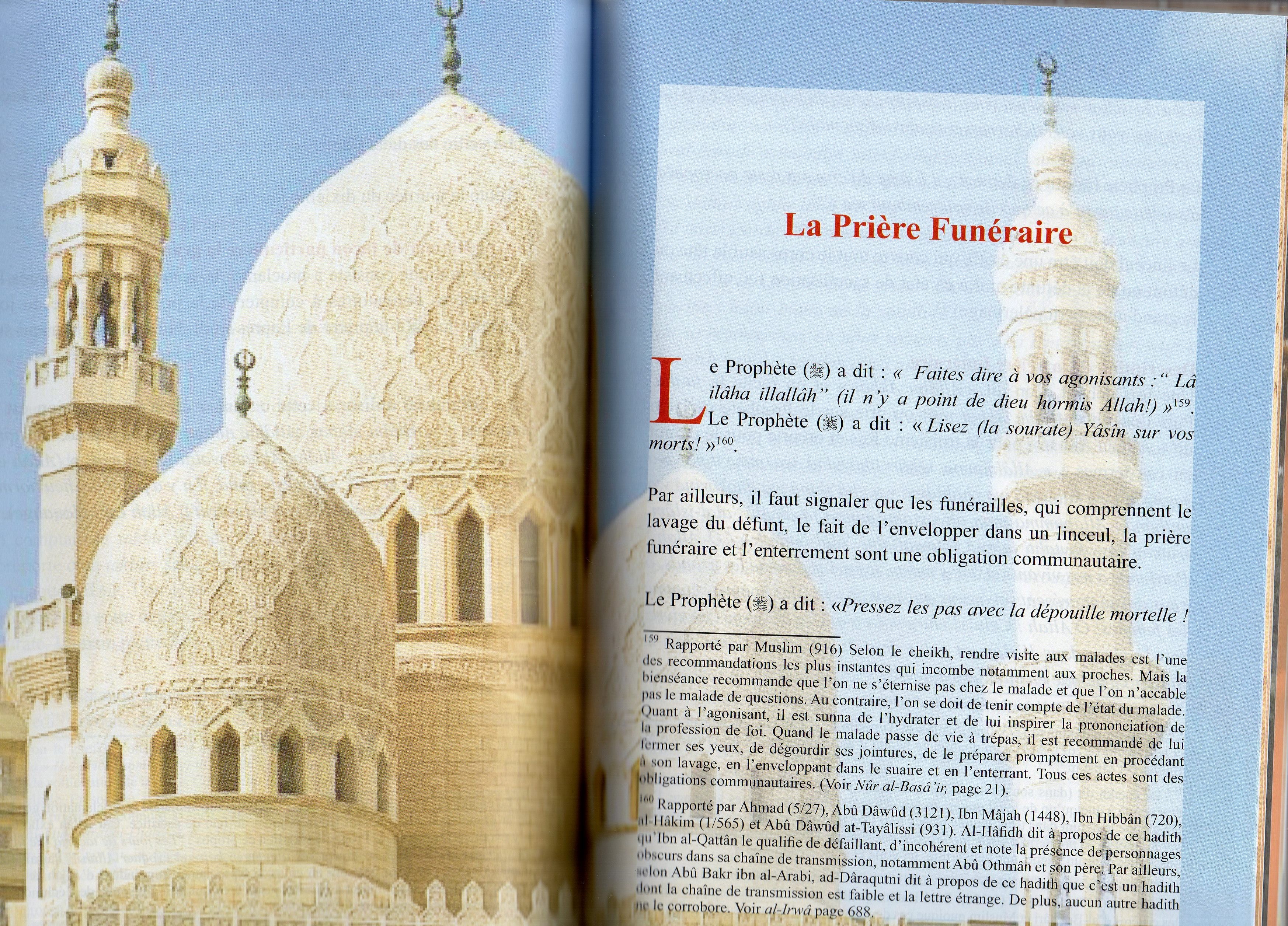 Bréviaire [de jurisprudence] à l'usage des étudiants [en sciences religieuses]