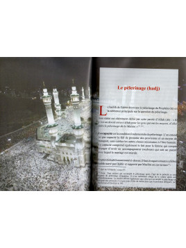 Bréviaire [de jurisprudence] à l'usage des étudiants [en sciences religieuses]