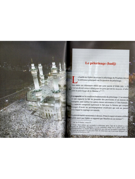 Bréviaire [de jurisprudence] à l'usage des étudiants [en sciences religieuses]