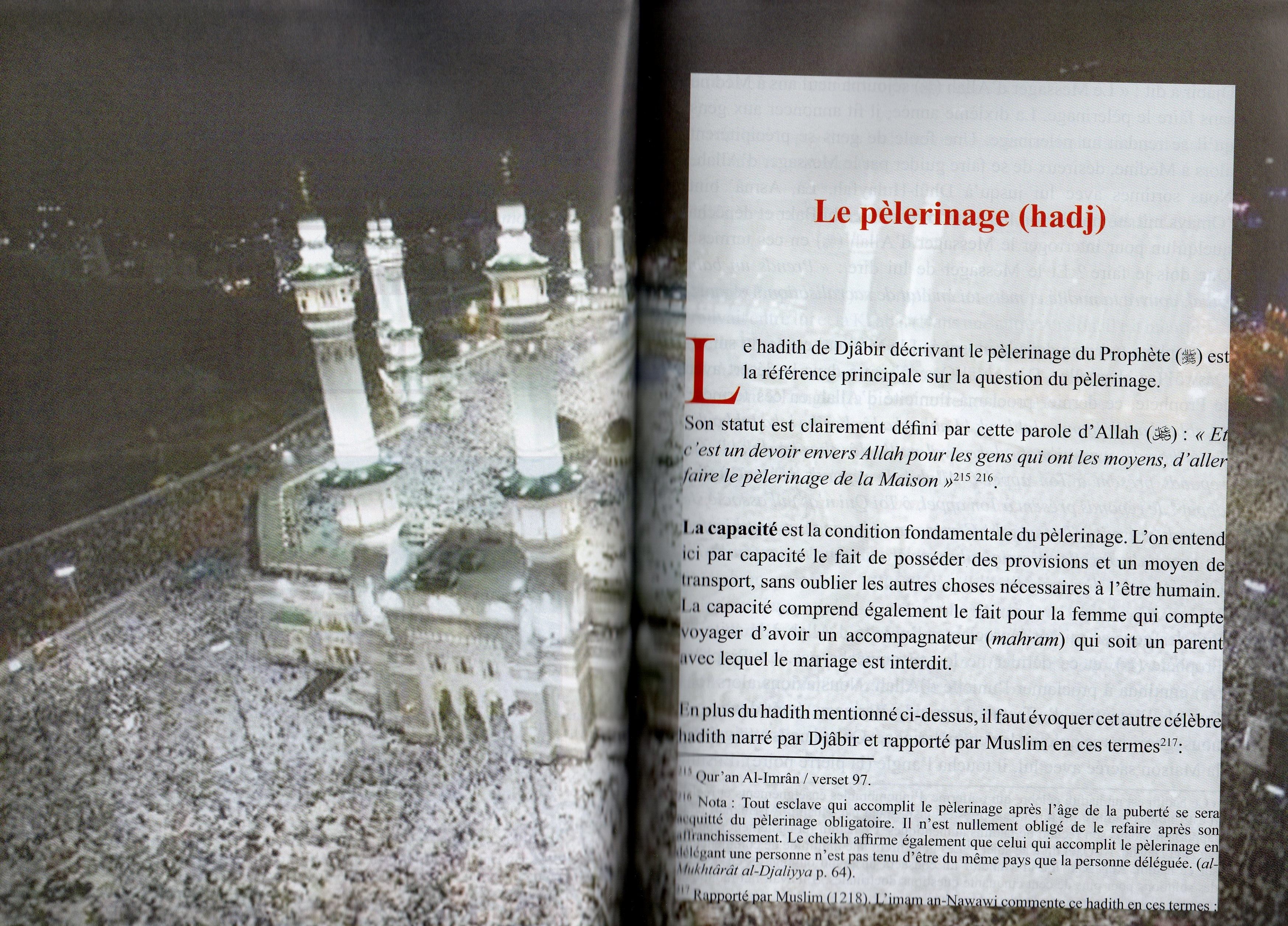 Bréviaire [de jurisprudence] à l'usage des étudiants [en sciences religieuses]