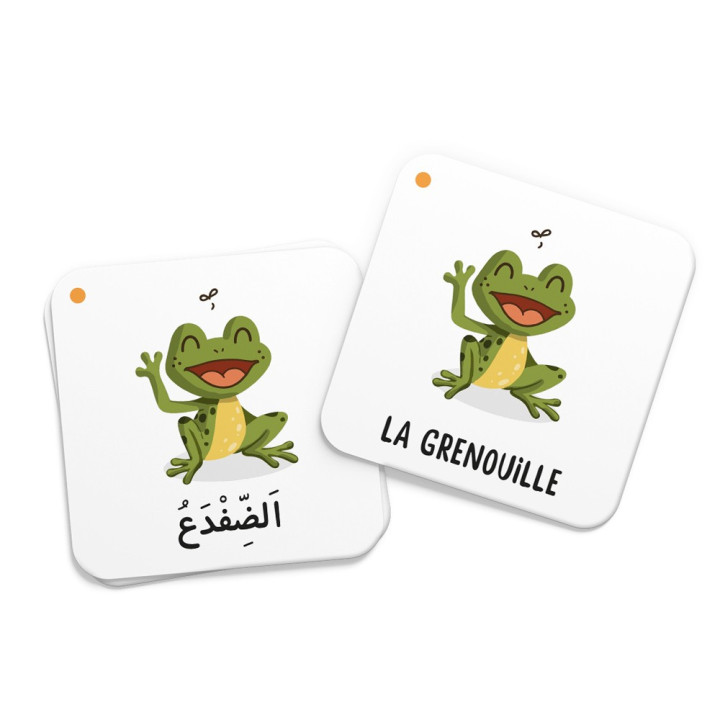 Mémo des animaux du Coran - Editions DeeniLearn
