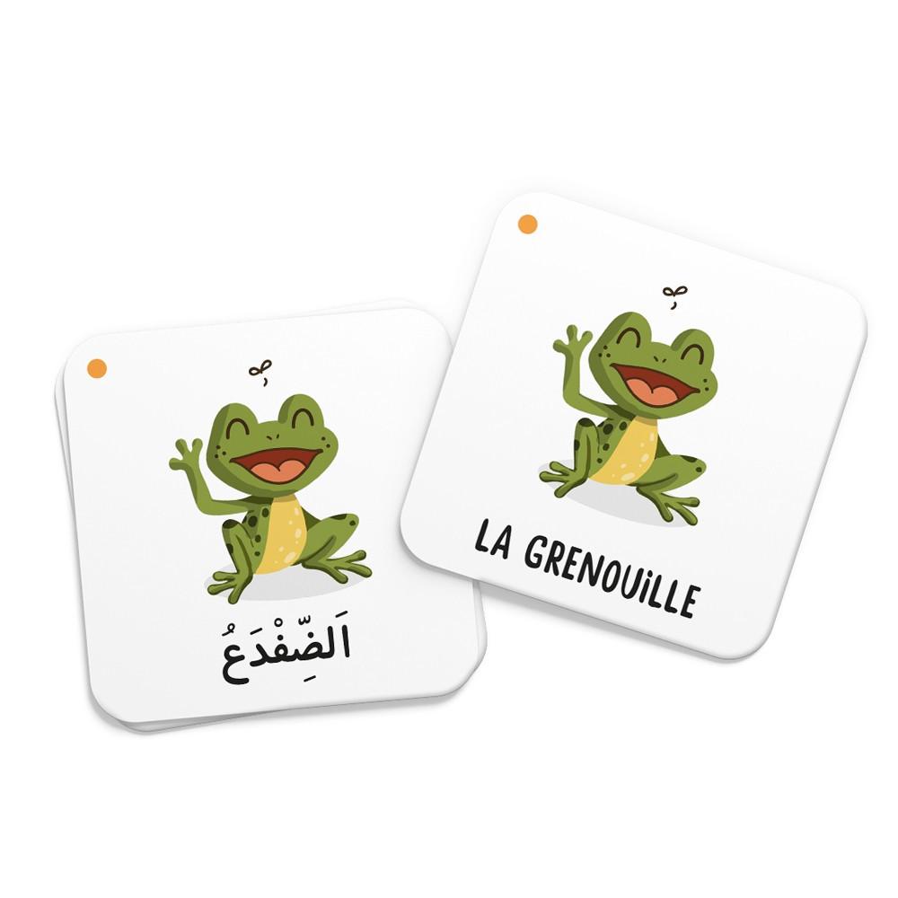 Mémo des animaux du Coran - Editions DeeniLearn