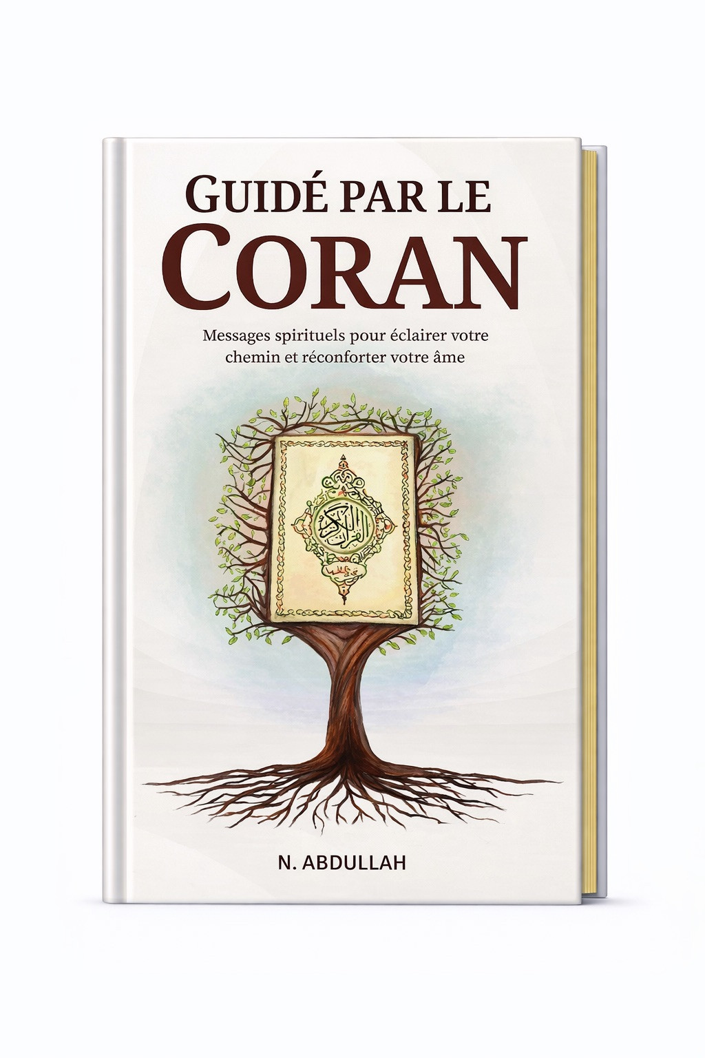 Guidé par le Coran - N. Abdullah