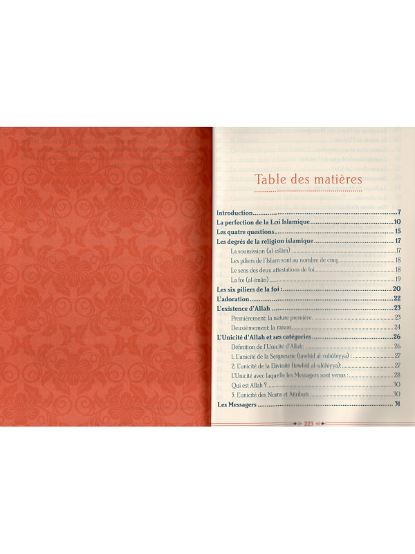 L'islam pour les débutants