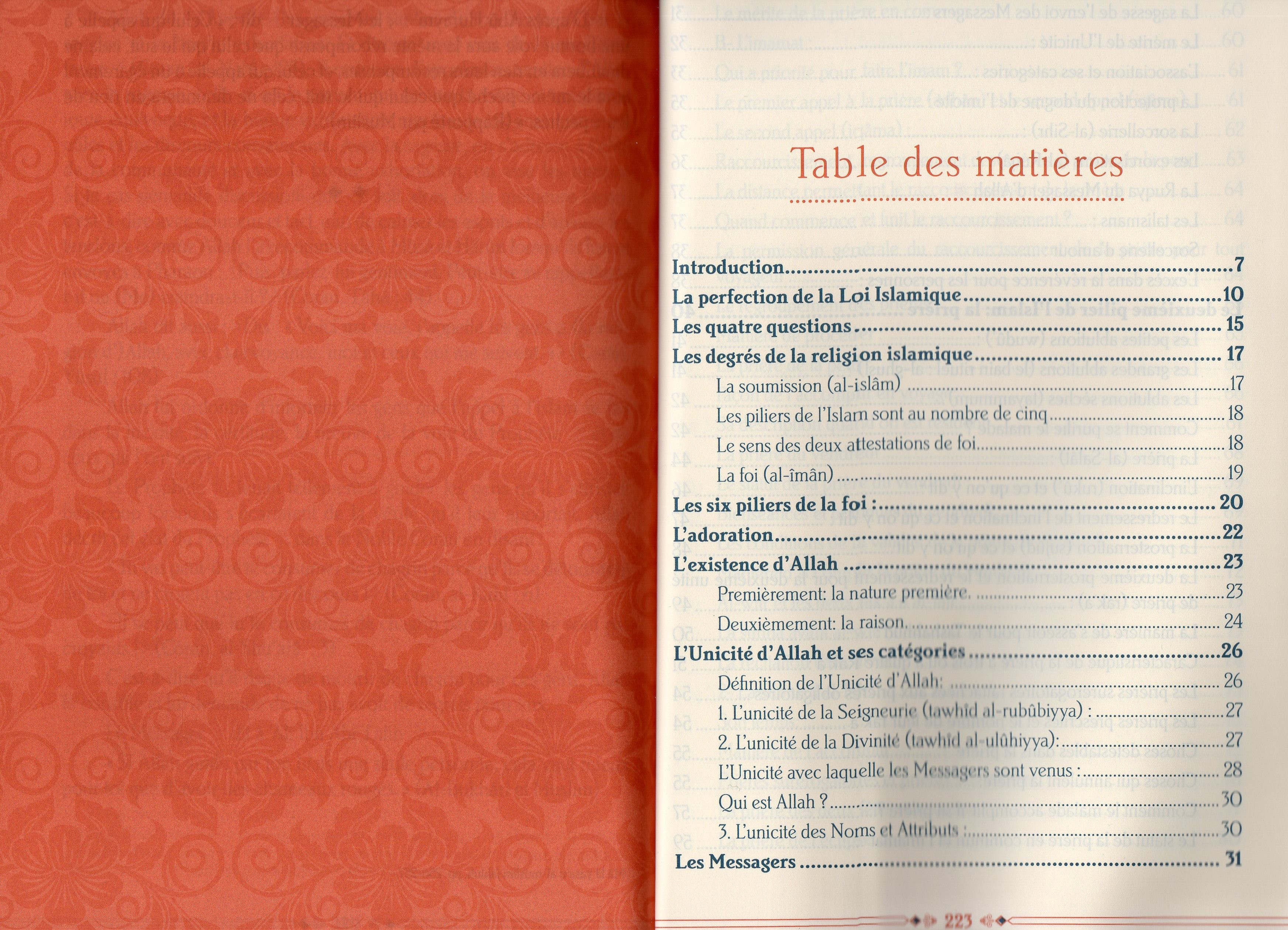 L'islam pour les débutants
