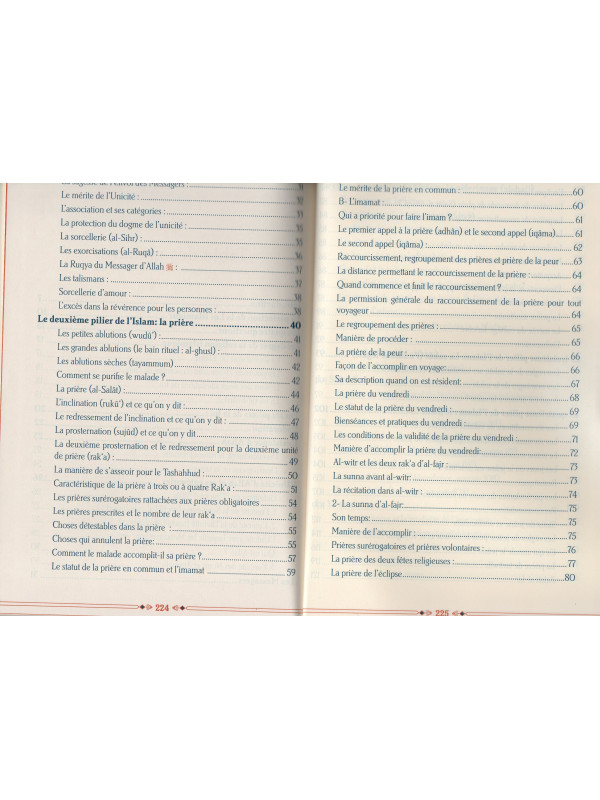 L'islam pour les débutants