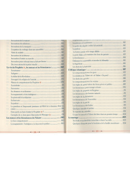 L'islam pour les débutants