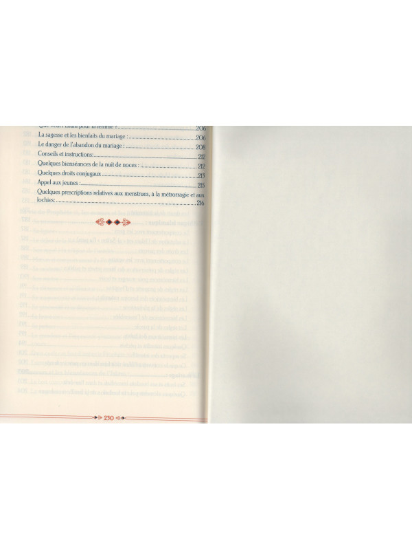 L'islam pour les débutants