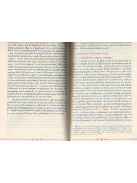 L'islam pour les débutants