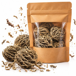 Rose de Jericho / chajarat mariam - 100% Naturel - Librairie Le Savoir