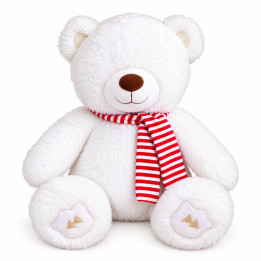 Mon Nounours Hamza- Edition Orientica
