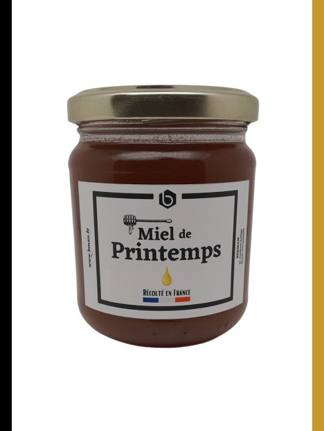 Pot de miel de printemps 250 g, Bee Miel