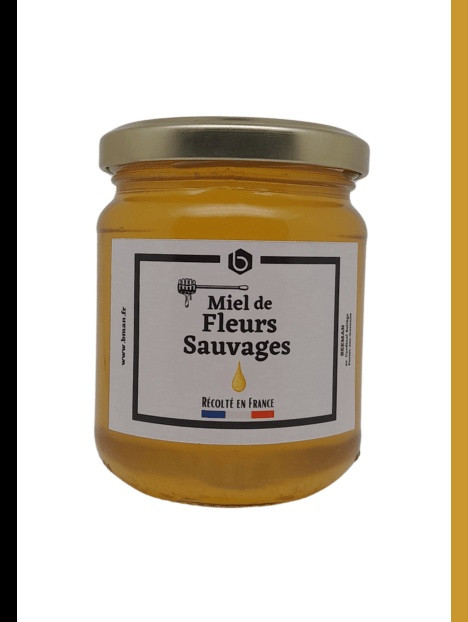 Pot de miel de fleurs sauvages 250 g, Bee Miel