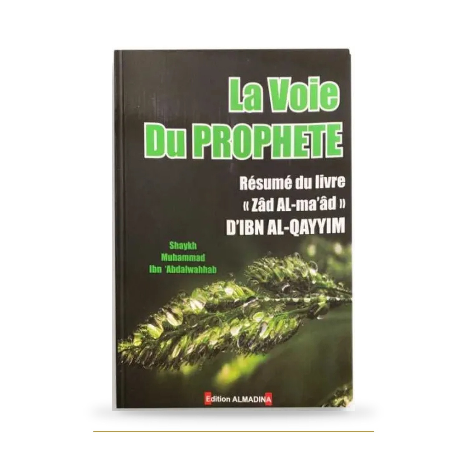 La voie du Prophète — Résumé de Zad al-Ma’âd — couverture du livre