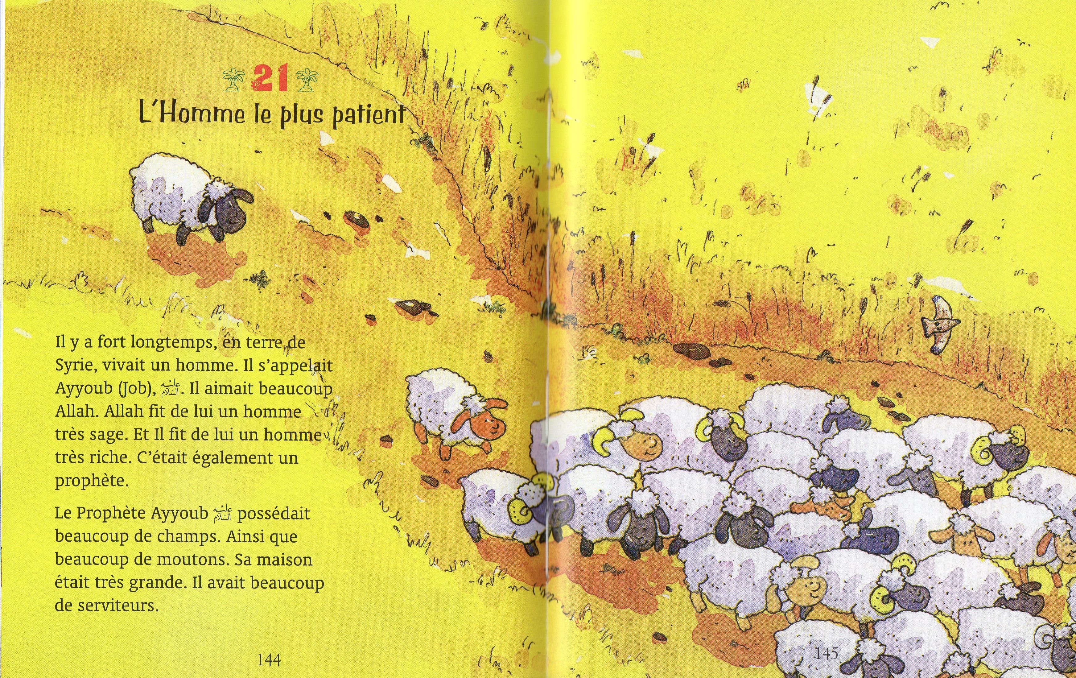 MON PREMIER CORAN LIVRE D'HISTOIRES
