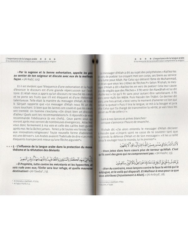 L'IMPORTANCE DE LA LANGUE ARABE